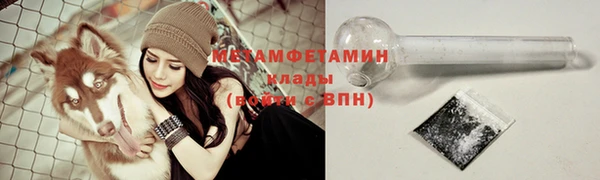сатива Няндома
