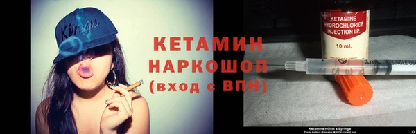 сатива Няндома