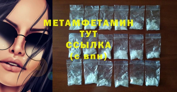 сатива Няндома
