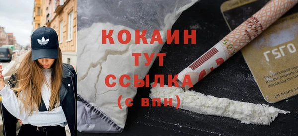 тгк Гусев