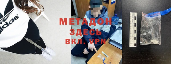 сатива Няндома